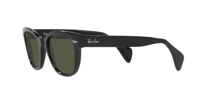 Ray-Ban Sunglasses RB0880S 901/31