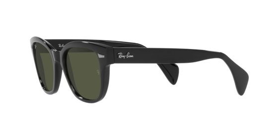 Ray-Ban Sunglasses RB0880S 901/31