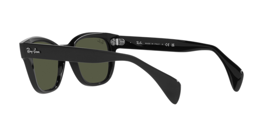 Ray-Ban Sunglasses RB0880S 901/31