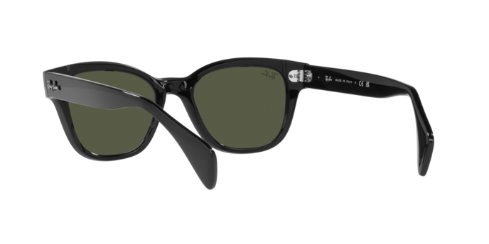 Ray-Ban Sunglasses RB0880S 901/31