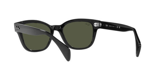 Ray-Ban Sunglasses RB0880S 901/31