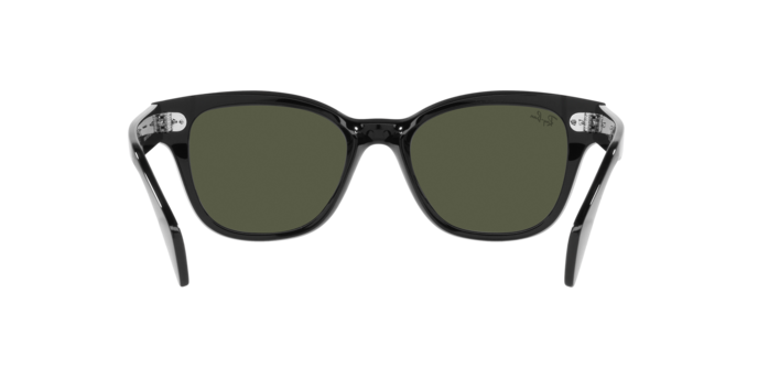 Ray-Ban Sunglasses RB0880S 901/31