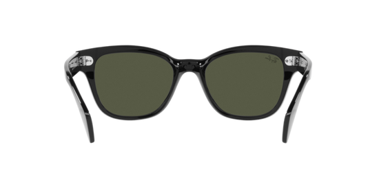 Ray-Ban Sunglasses RB0880S 901/31