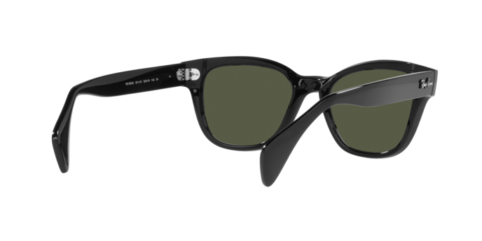 Ray-Ban Sunglasses RB0880S 901/31