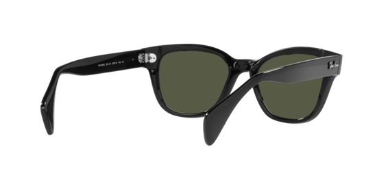 Ray-Ban Sunglasses RB0880S 901/31