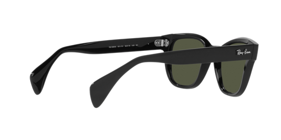 Ray-Ban Sunglasses RB0880S 901/31