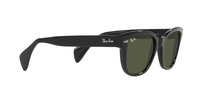 Ray-Ban Sunglasses RB0880S 901/31