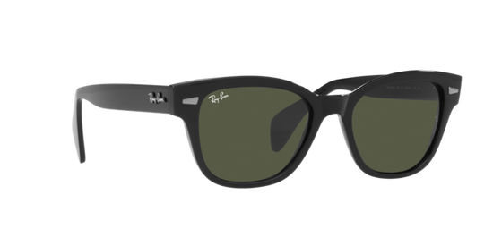 Ray-Ban Sunglasses RB0880S 901/31