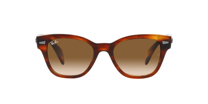 Ray-Ban Sunglasses RB0880S 954/51