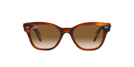 Ray-Ban Sunglasses RB0880S 954/51