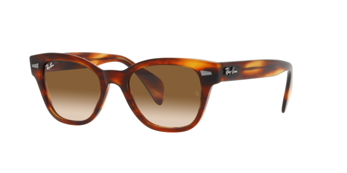 Ray-Ban Sunglasses RB0880S 954/51