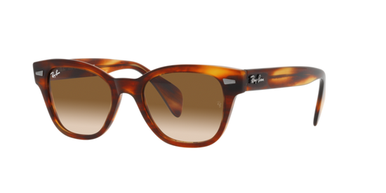 Ray-Ban Sunglasses RB0880S 954/51