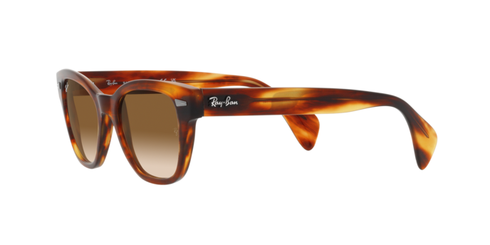 Ray-Ban Sunglasses RB0880S 954/51