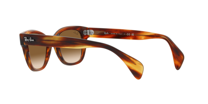 Ray-Ban Sunglasses RB0880S 954/51