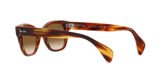 Ray-Ban Sunglasses RB0880S 954/51