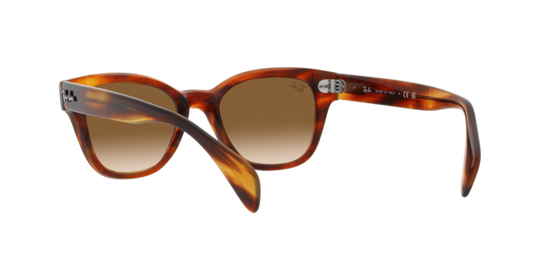 Ray-Ban Sunglasses RB0880S 954/51