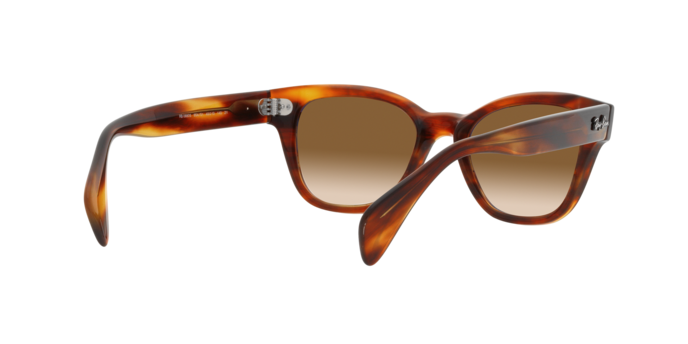 Ray-Ban Sunglasses RB0880S 954/51