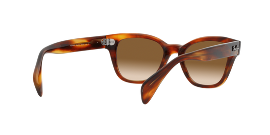 Ray-Ban Sunglasses RB0880S 954/51