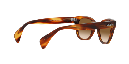 Ray-Ban Sunglasses RB0880S 954/51