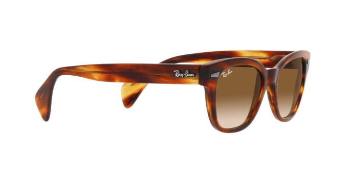 Ray-Ban Sunglasses RB0880S 954/51