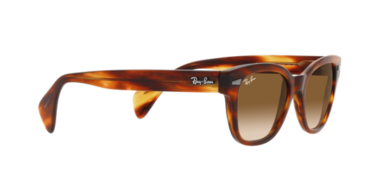 Ray-Ban Sunglasses RB0880S 954/51