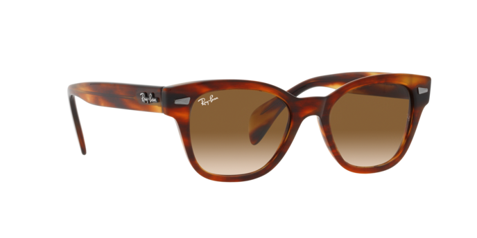 Ray-Ban Sunglasses RB0880S 954/51