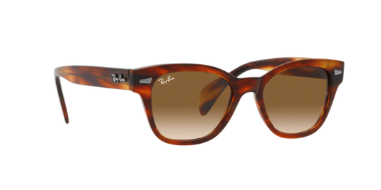 Ray-Ban Sunglasses RB0880S 954/51