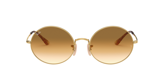 Ray-Ban Oval Sunglasses RB1970 9150B1