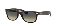 Ray-Ban New Wayfarer RB2132 894/76