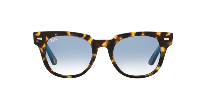 Ray-Ban Meteor Sunglasses RB2168 13323F