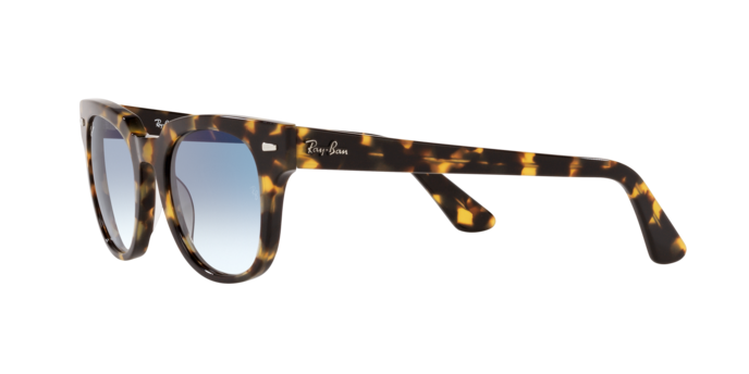 Ray-Ban Meteor Sunglasses RB2168 13323F