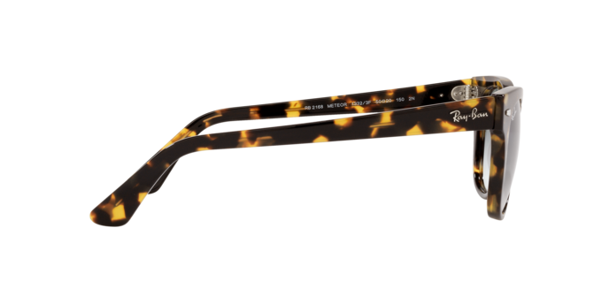 Ray-Ban Meteor Sunglasses RB2168 13323F