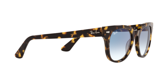 Ray-Ban Meteor Sunglasses RB2168 13323F