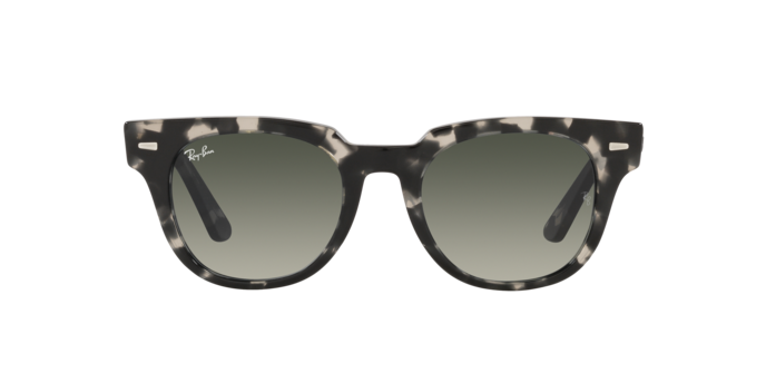 Ray-Ban Meteor Sunglasses RB2168 133371