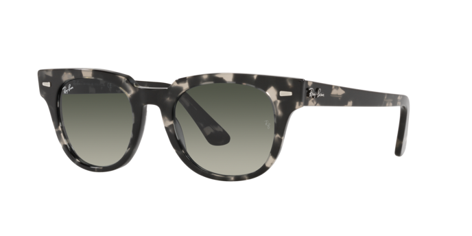 Ray-Ban Meteor Sunglasses RB2168 133371