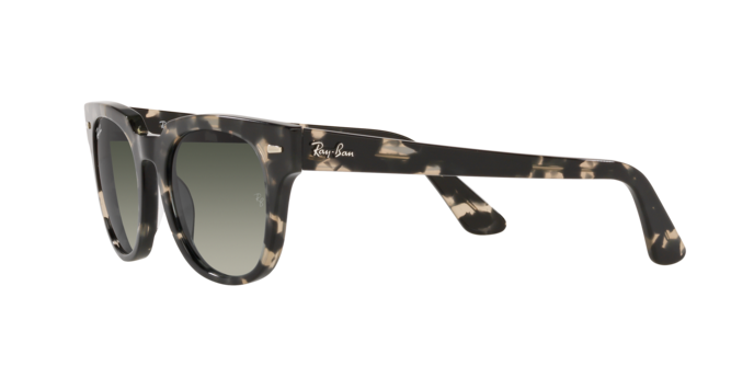 Ray-Ban Meteor Sunglasses RB2168 133371