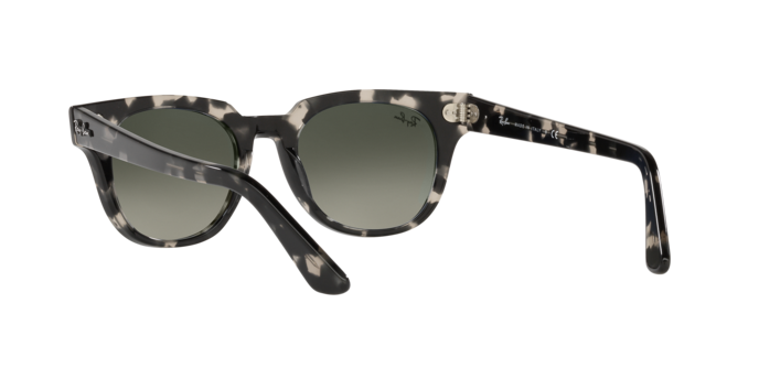 Ray-Ban Meteor Sunglasses RB2168 133371