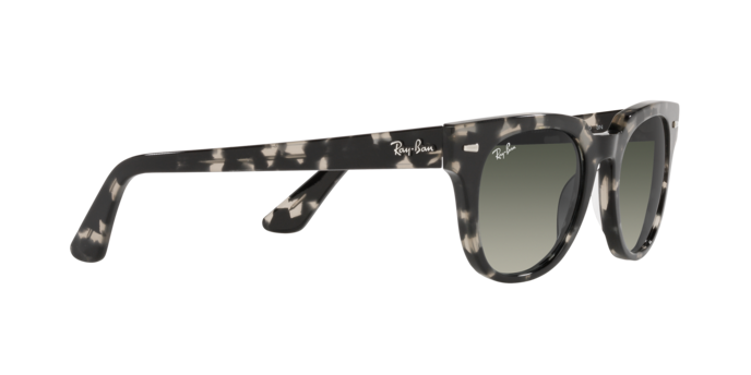 Ray-Ban Meteor Sunglasses RB2168 133371