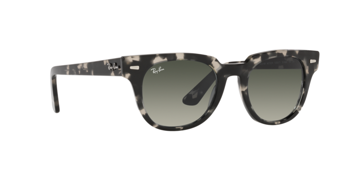 Ray-Ban Meteor Sunglasses RB2168 133371