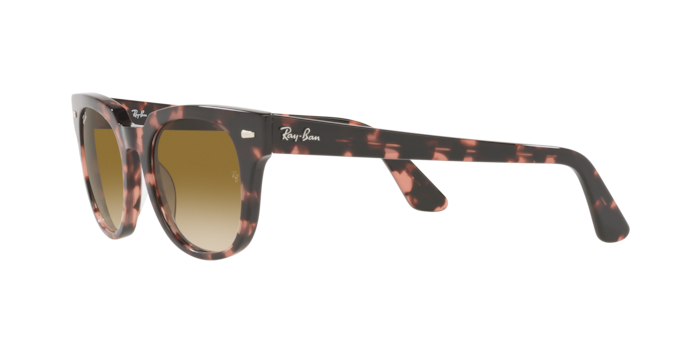 Ray-Ban Meteor Sunglasses RB2168 133451