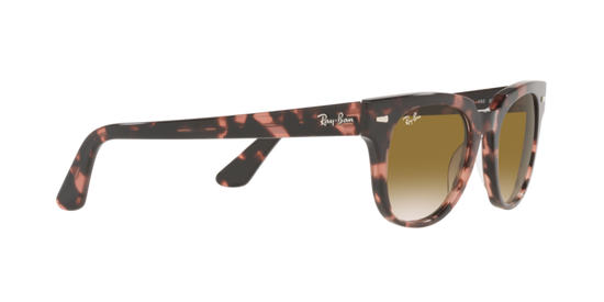 Ray-Ban Meteor Sunglasses RB2168 133451
