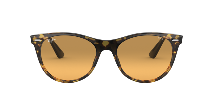 Ray-Ban Wayfarer Ii Sunglasses RB2185 1248AC