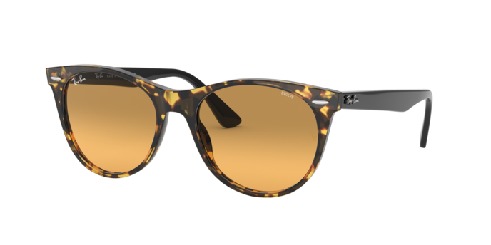 Ray-Ban Wayfarer Ii Sunglasses RB2185 1248AC