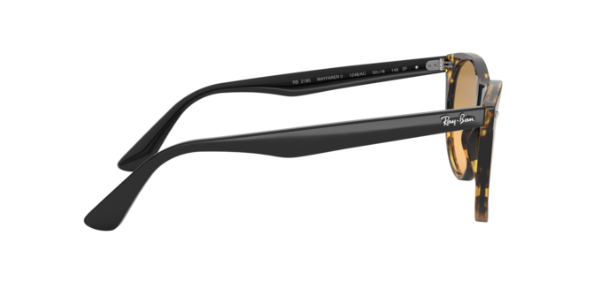 Ray-Ban Wayfarer Ii Sunglasses RB2185 1248AC