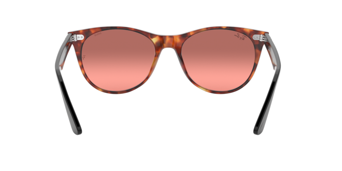 Ray-Ban Wayfarer Ii Sunglasses RB2185 1249AA