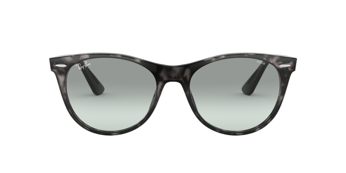 Ray-Ban Wayfarer Ii Sunglasses RB2185 12963M