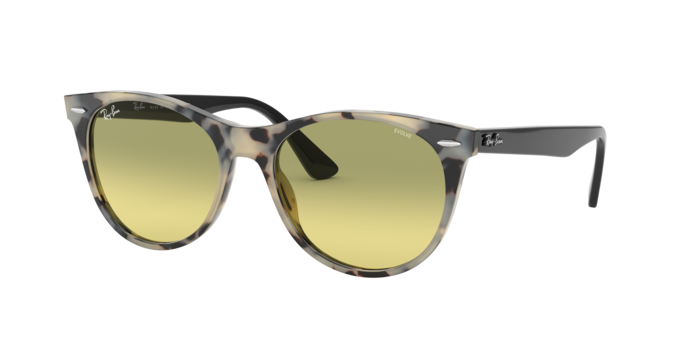 Ray-Ban Wayfarer Ii Sunglasses RB2185 1251AB