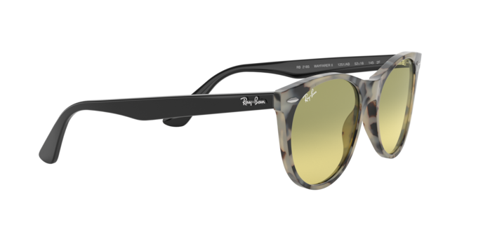 Ray-Ban Wayfarer Ii Sunglasses RB2185 1251AB
