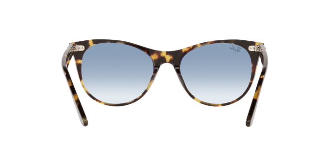 Ray-Ban Wayfarer Ii Sunglasses RB2185 13323F