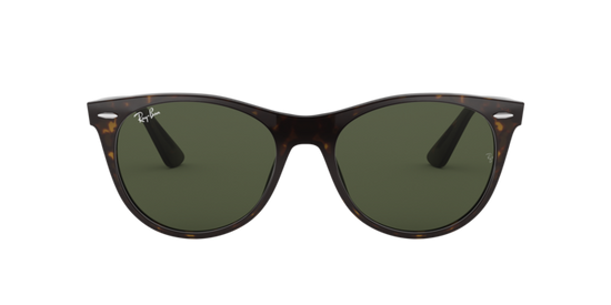 Ray-Ban Wayfarer Ii Sunglasses RB2185 902/31